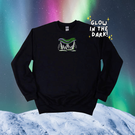 Aurora Borealis | Northern Lights