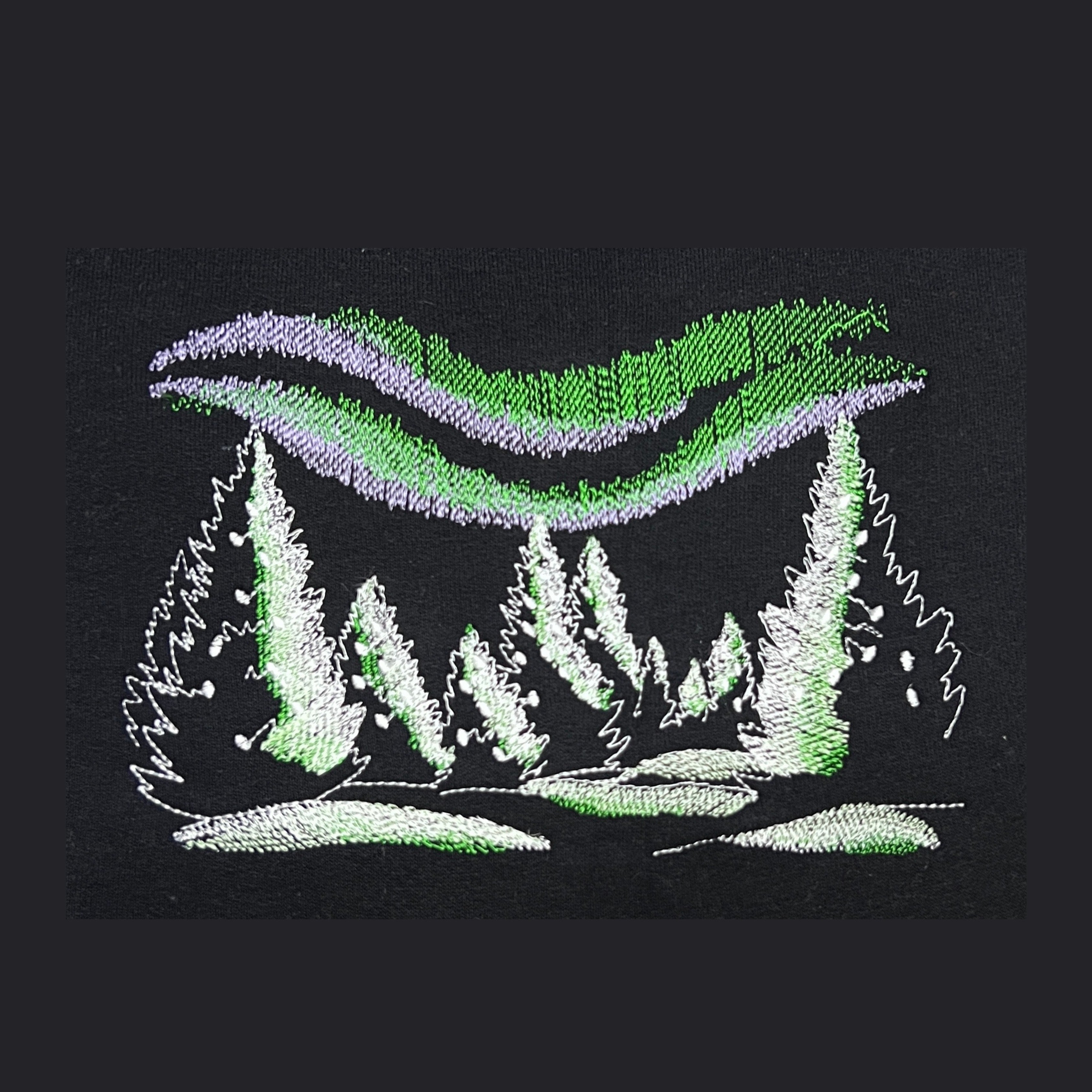 Aurora Borealis | Northern Lights