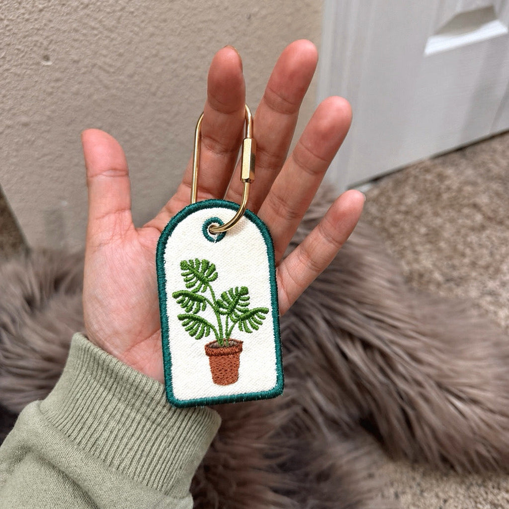 House Plant