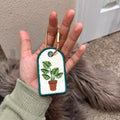 House Plant