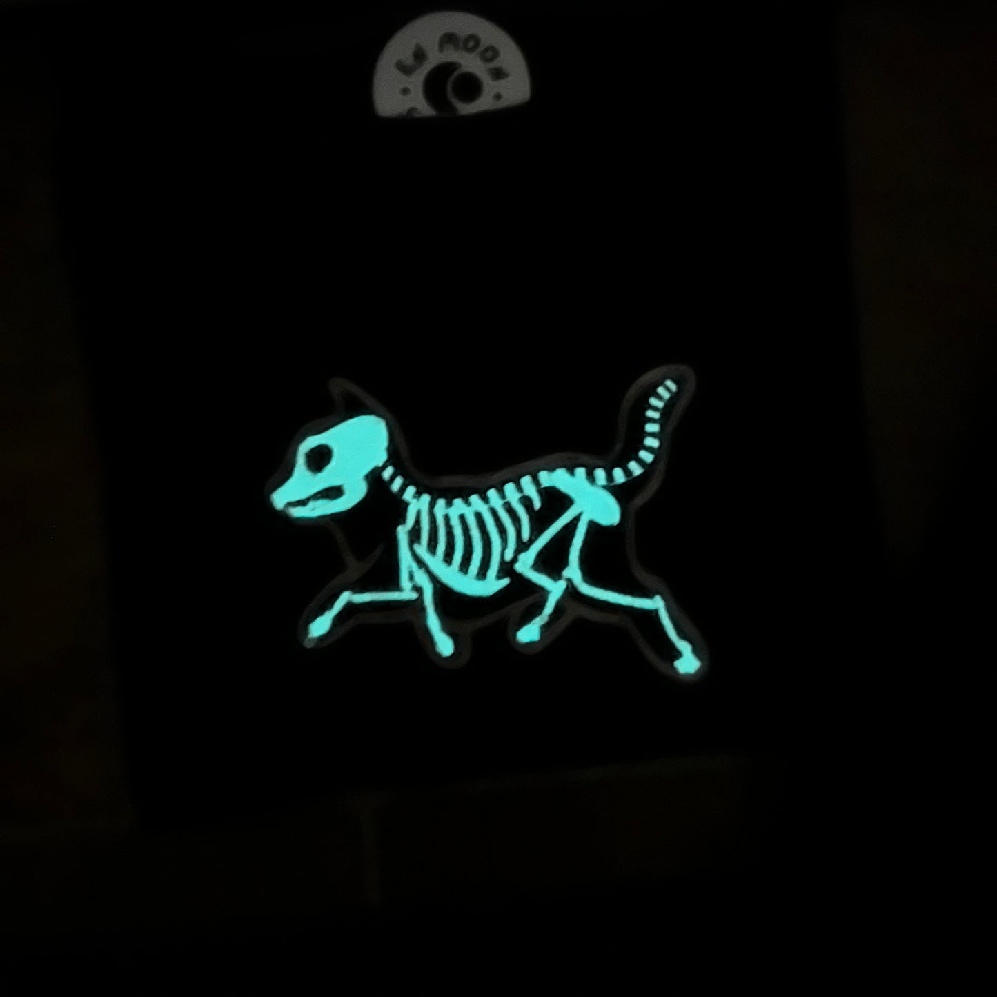 Skelly Cat Sweatshirt